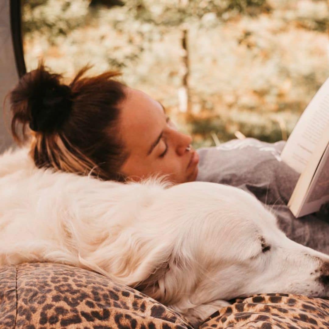 Estos son los mejores libros para aprender todo sobre el cuidado de tu mascota