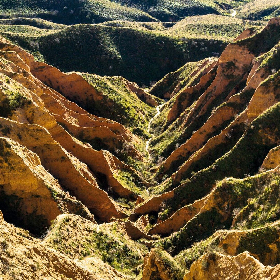 Barrancas de Burujón (Toledo): el Gran Cañón del Tajo