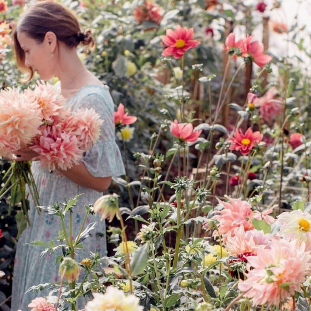 Gabriela Salazar: las musas están en las flores