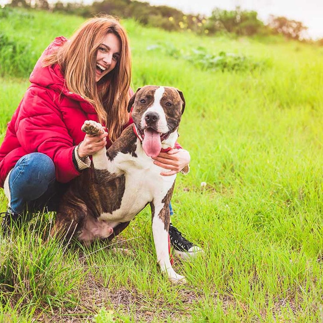 ¿Por qué no se debe humanizar a un perro?