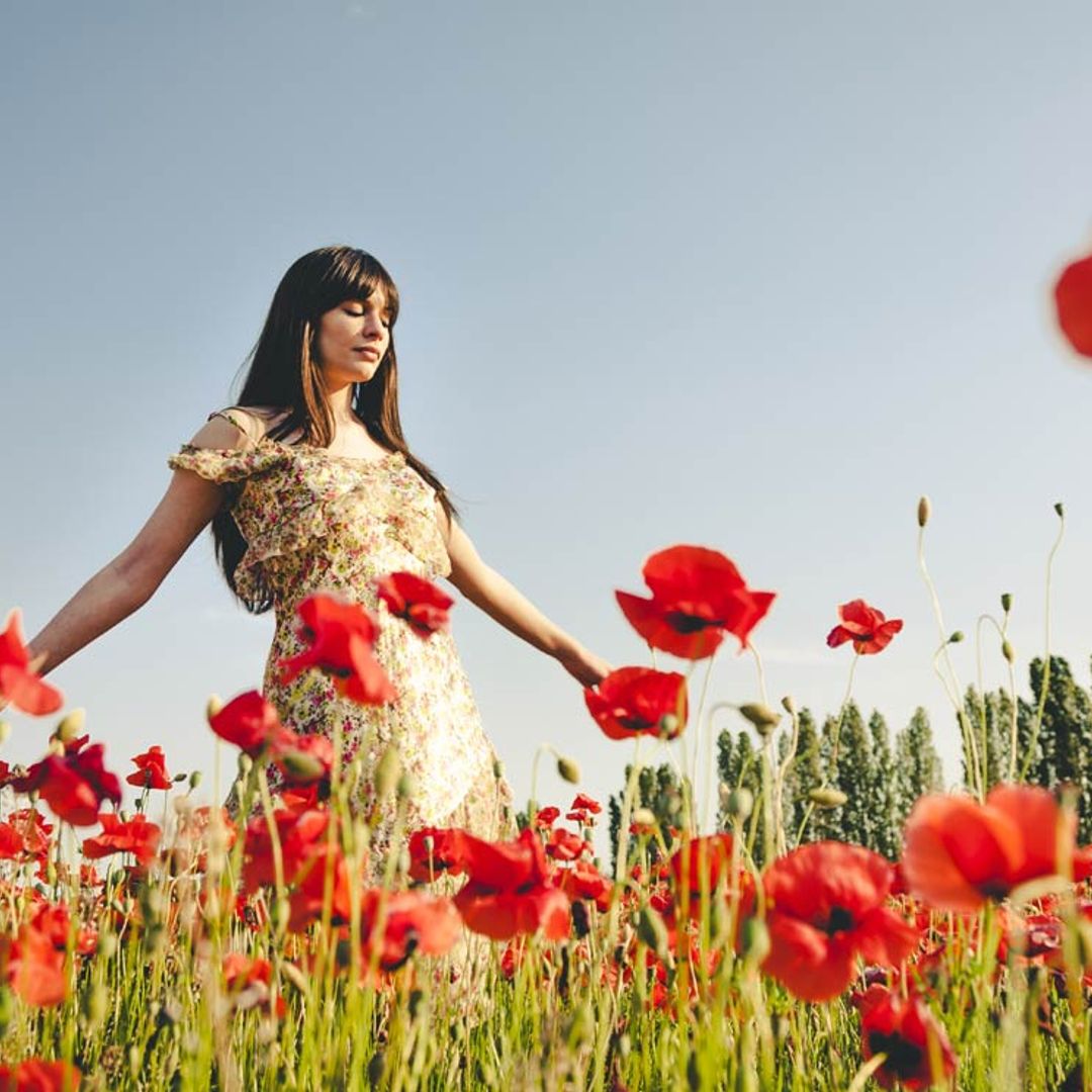 ¿Te atacan por tus virtudes? Puedes sufrir el síndrome de la amapola alta