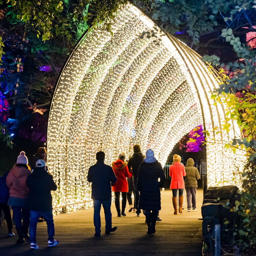 Festival de la luz Lektrik, en el Jardín Botánico de Queens, Nueva York