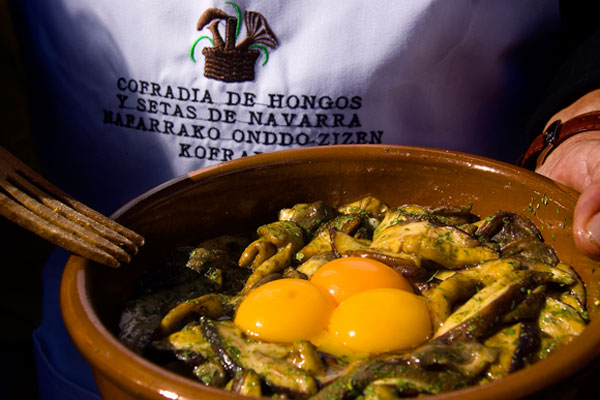 Hongos, Navarra