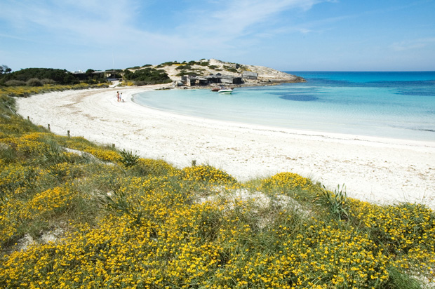 Formentera-verano-2014