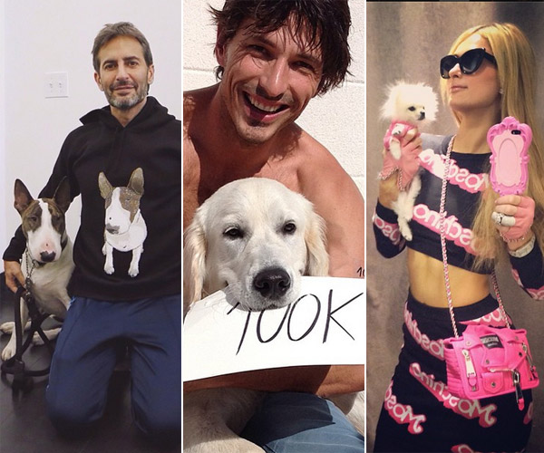 Pistacho, Neville o Harry, ellos son algunos de los ‘celebpets’ con más tirón