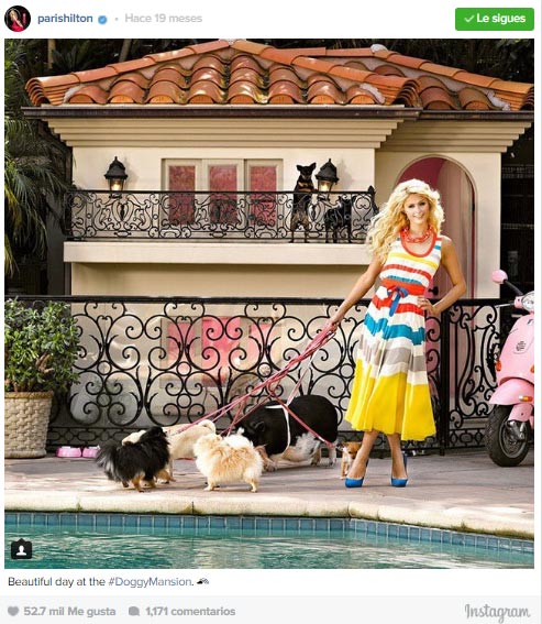 Ni te imaginas cómo es la espectacular mansión para perros de Paris Hilton