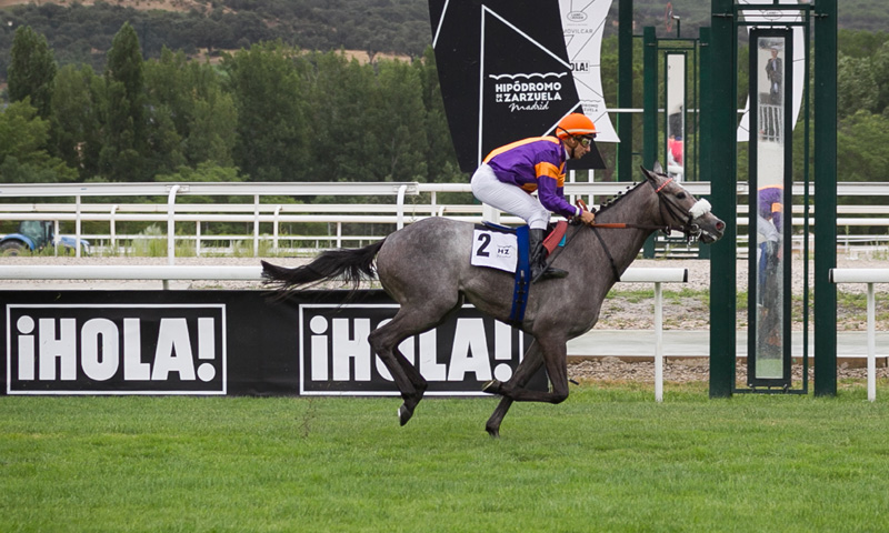 Gran Premio ¡HOLA!, un evento único para celebrar el 76º aniversario del Hipódromo de La Zarzuela"