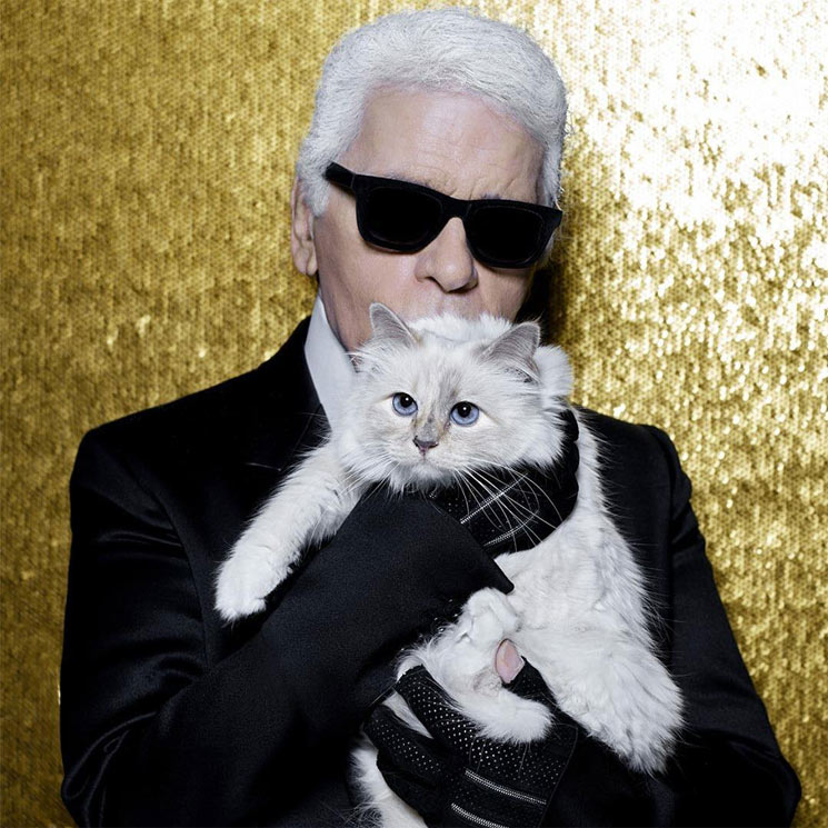 Choupette, la gatita de Karl Lagerfeld que heredará parte de su fortuna