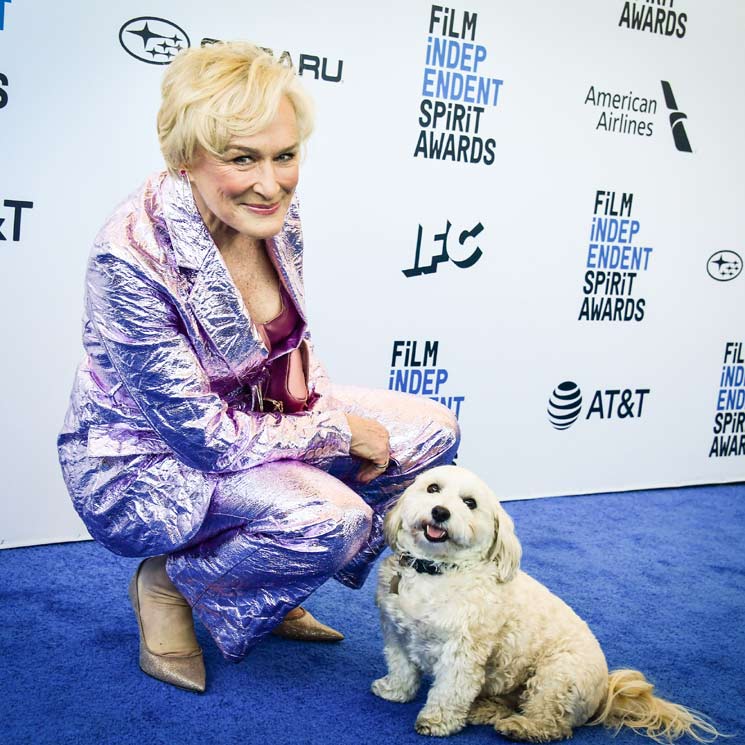 Glenn Close no fue la protagonista de los Spirit Awards... ¡fue su perro!