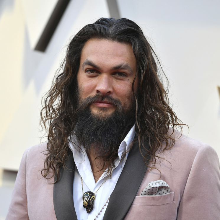 El avión privado de Jason Momoa ('Juego de Tronos'), obligado a hacer un aterrizaje de emergencia 