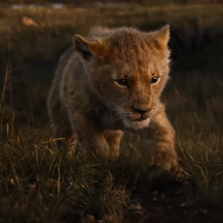 El primer tráiler de 'El Rey León' te dejará con la boca abierta y lágrimas en los ojos