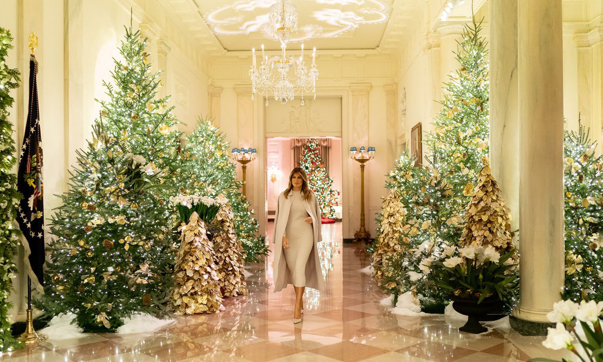 melania-arbol