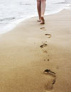 Verano, tiempo de paseos por la playa 