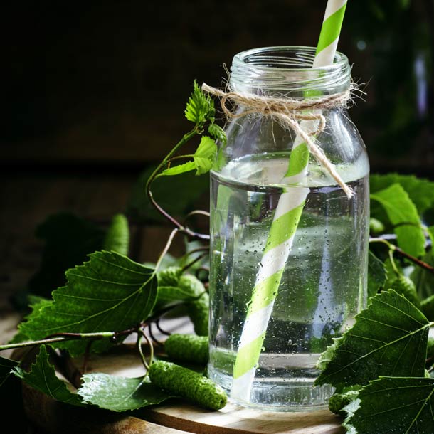 El agua de abedul está de moda: ¿cuáles son sus propiedades?