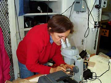 Sylvia Earle. Noticias, fotos y biografía de Sylvia Earle