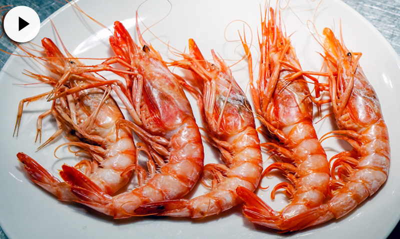 gambas-tipos