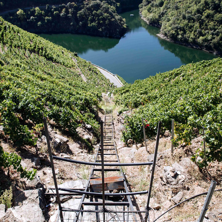 Enoturismo en la Ribeira Sacra: ¿Marvel, dices? ¡Aquí sí que hay héroes de verdad!