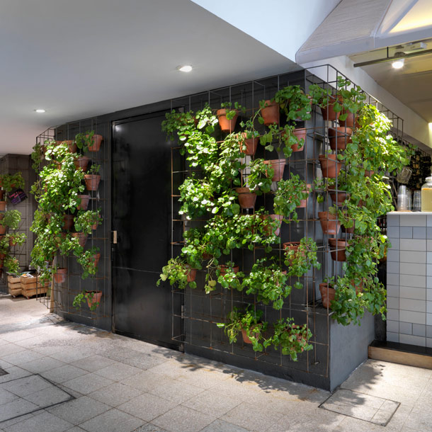 La decoración ecológica y biosaludable se extiende a mercados y restaurantes