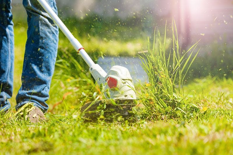 Cómo Eliminar Las Malas Hierbas Del Jardín Y El Huerto