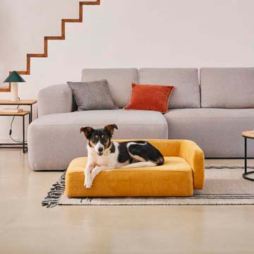 Muebles de casa para perros de interior Diseño de esqueleto, Casa de perro  de interior moderna
