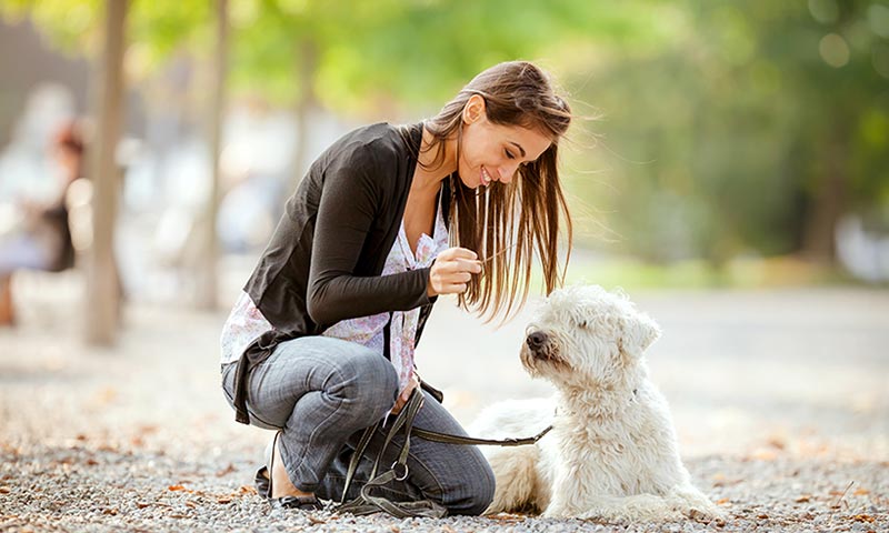 beneficios-mascota-en-casa-1