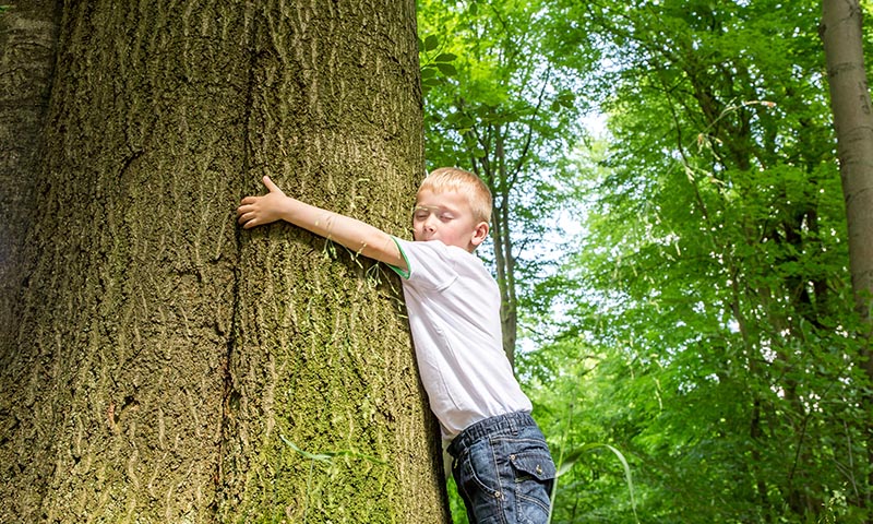 Niños y medio ambiente