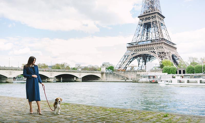 los perros pueden viajar en el metro de paris