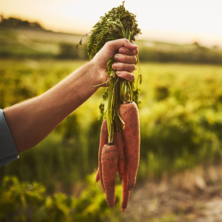 ¿Es posible consumir frutas y verduras sin químicos?