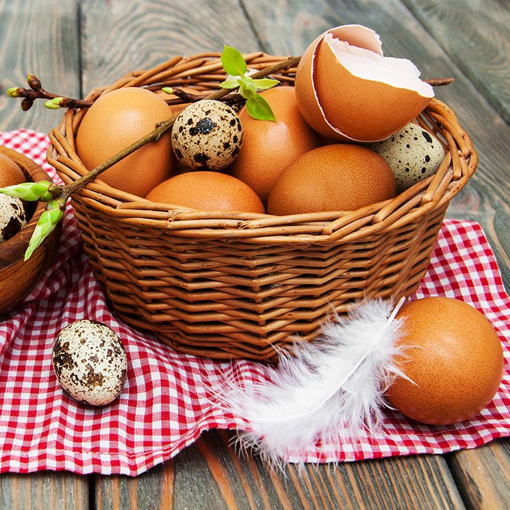 Redescubre el huevo y sus distintos tipos 