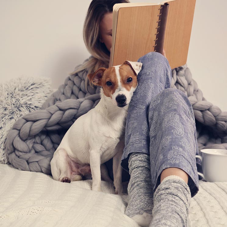 Razones científicas por las que el perro es el mejor amigo del ser humano 