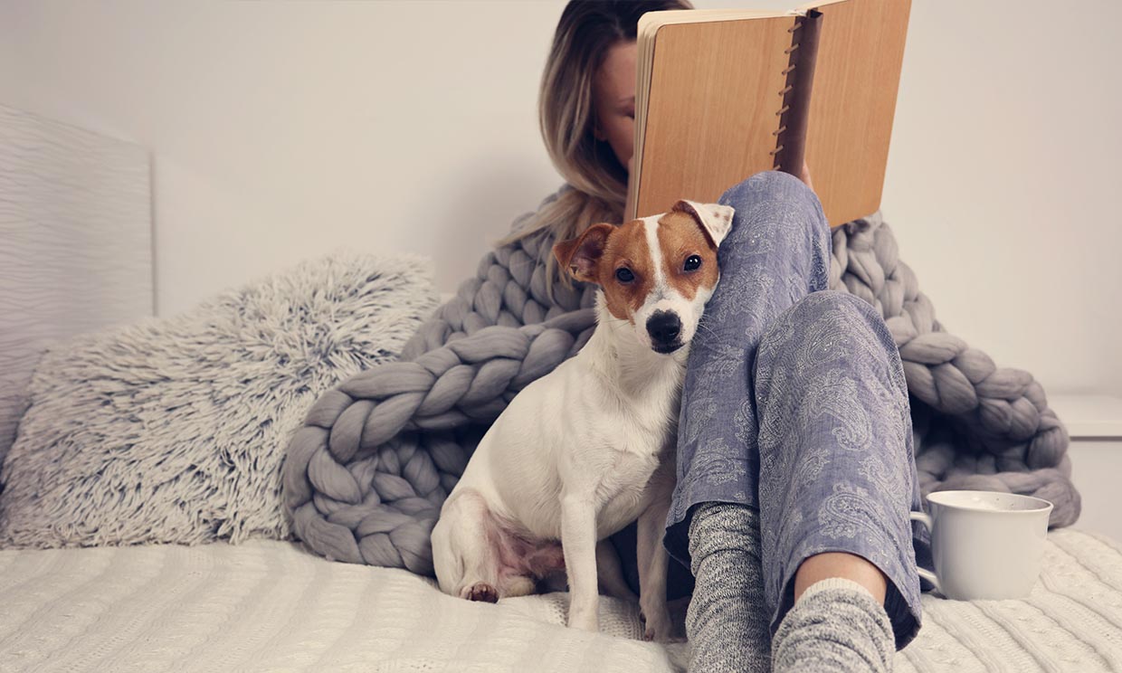 Razones científicas por las que el perro es el mejor amigo del ser humano 