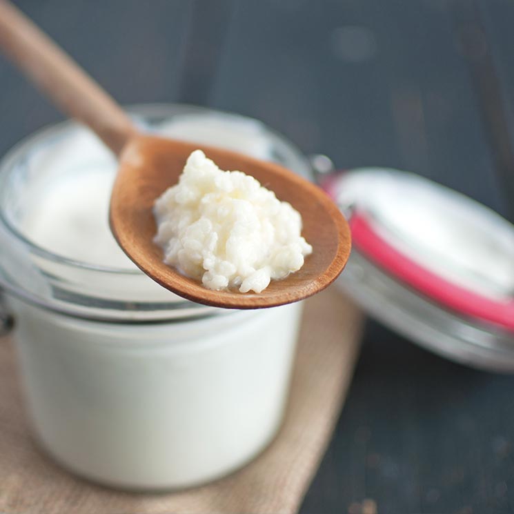 Cuida tu flora intestinal con el kéfir de agua