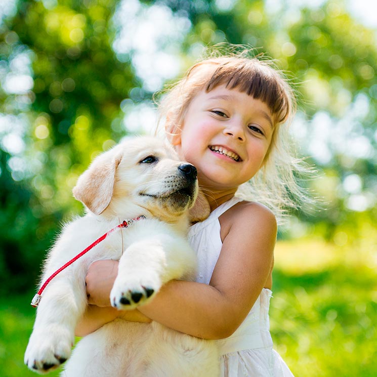 Ya puedes despedirte de la alergia a los animales 