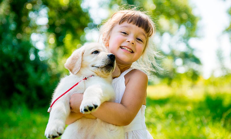 alergia-animales-vacuna