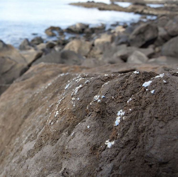 'Plasticrusts', una nueva forma de contaminación plástica