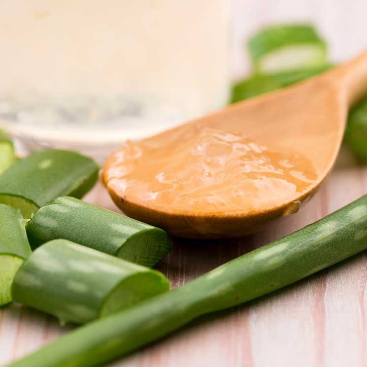 Conoce los múltiples beneficios del aloe vera también en la alimentación