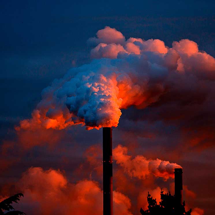 Cuatro teorías apocalípticas sobre el medio ambiente que podrían ser ciertas, según la ciencia