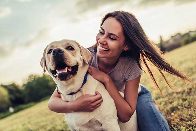 son tenias transferibles de perros a gatos