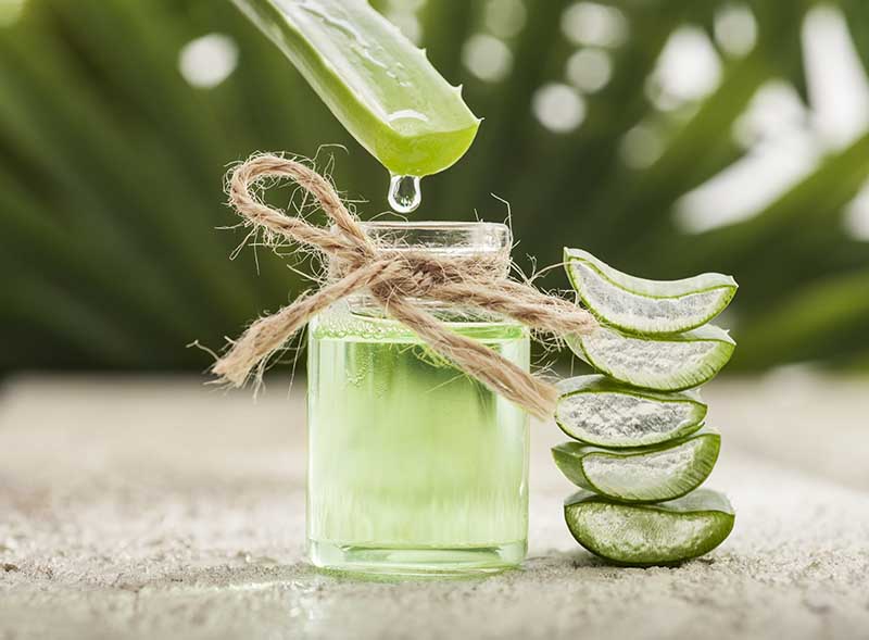 Aloe Vera: para quemaduras y heridas