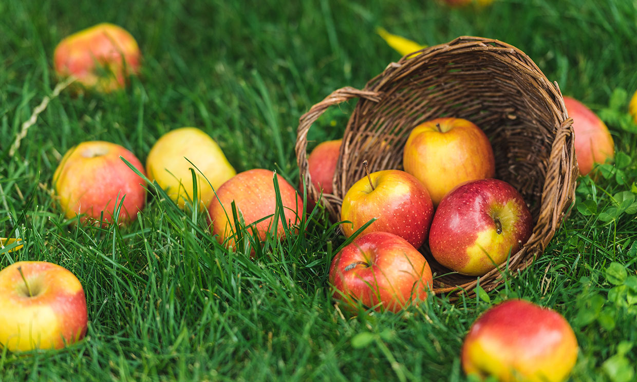 dieta-dos-manzanas-al-d-a-el-mejor-tratamiento-para-mantener-a-raya