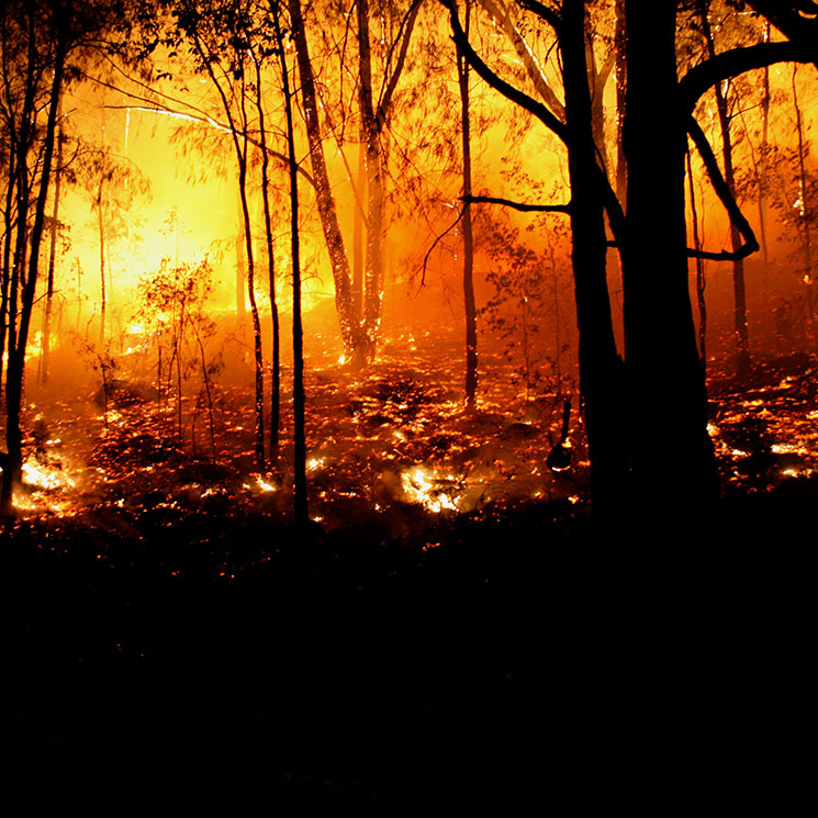 Cambio climático Las devastadoras consecuencias de los