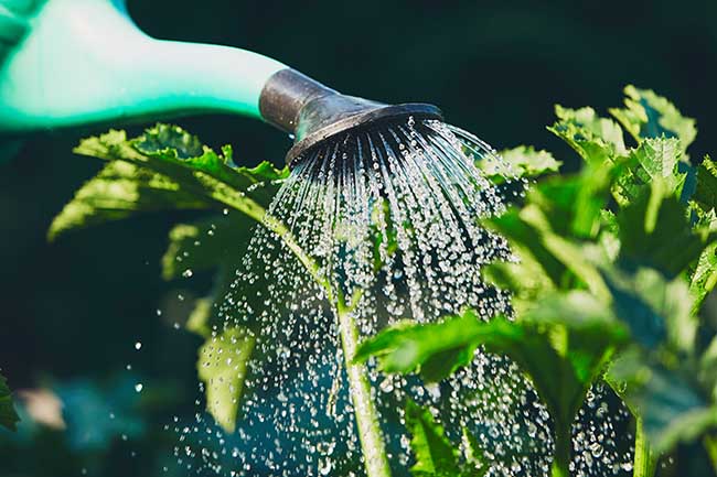 Medio Ambiente Aprende Cómo Puedes Reutilizar El Agua De Lluvia 6905