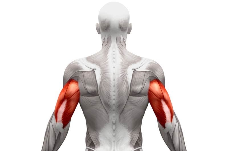 Ejercicios para entrenar los triceps y fortalecer los brazos - Foto 1