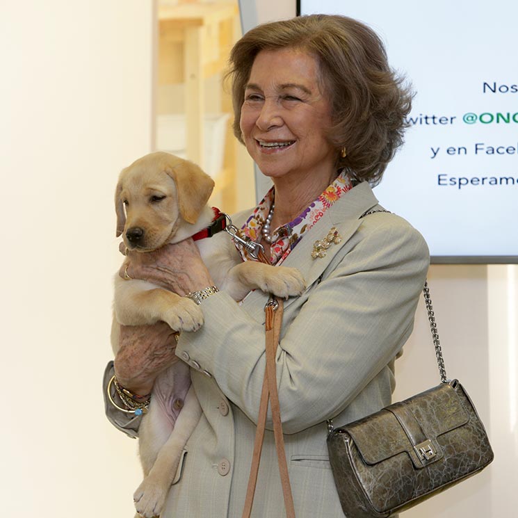 'Royals', aristócratas, actores... ¡todos ellos adoran a sus mascotas!