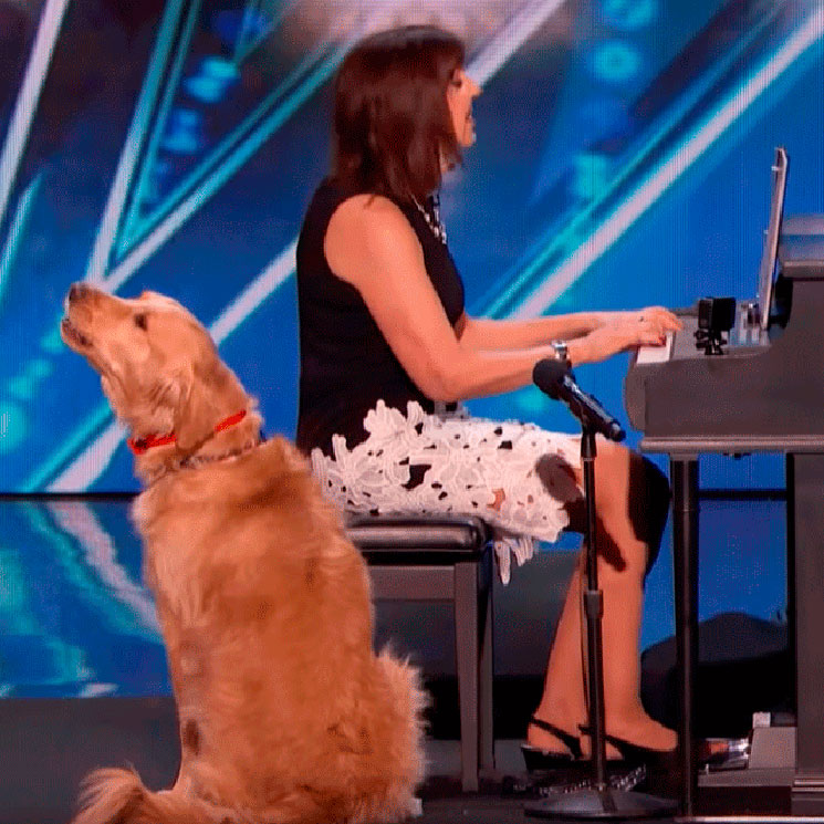 Oscar, el perro que sorprendió cantando en 'America’s Got Talent'