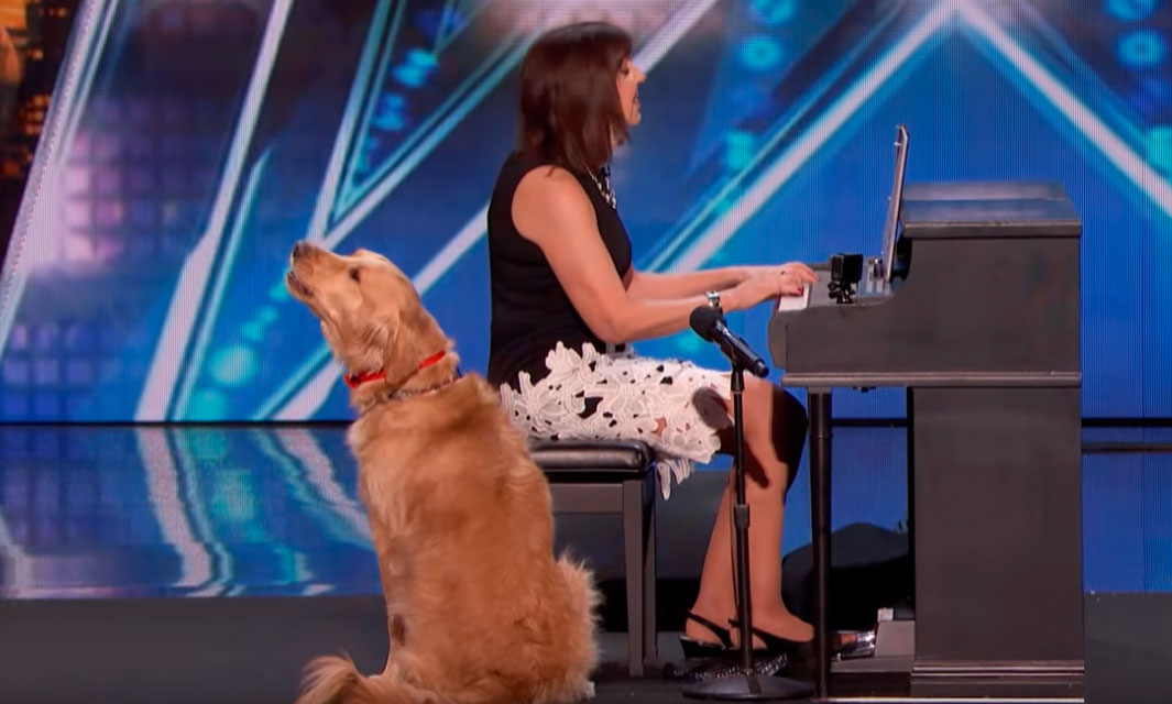 oscar perro americas got talent