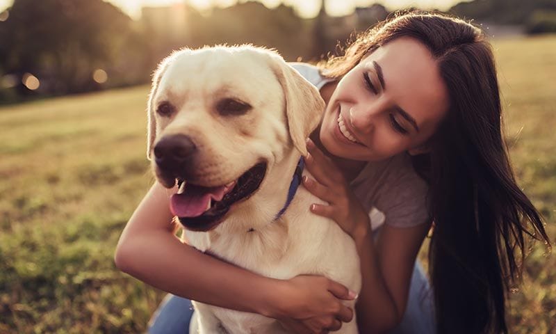 a los perros les gustan los masajes en los pies