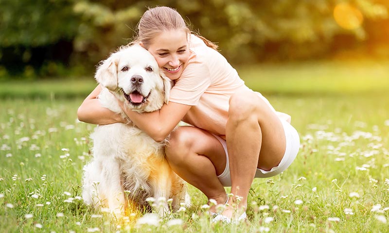 Antes de acariciar a un perro hay cosas que debes saber