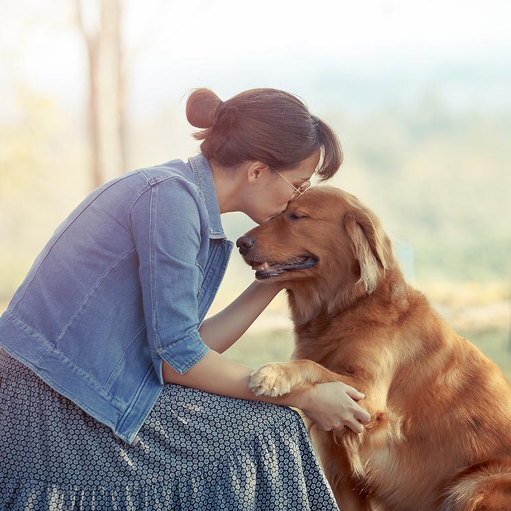 Las mejores razas de perro si sufres depresión 