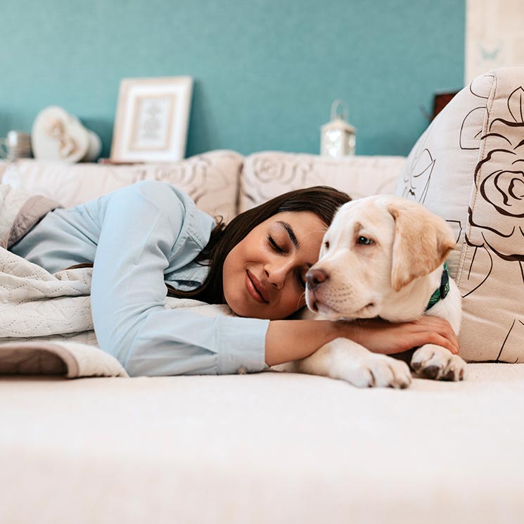 Pros y contras de dormir con perros